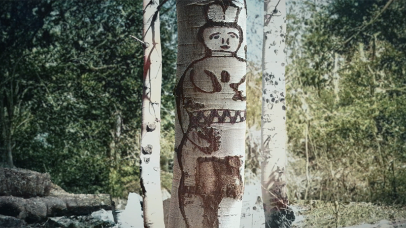 Still from a promotional video about the collaborative showing a tree carving on an aspen. The carving is of an individual.