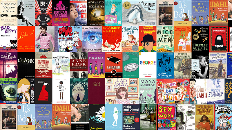 A colorful collage of banned books covers.