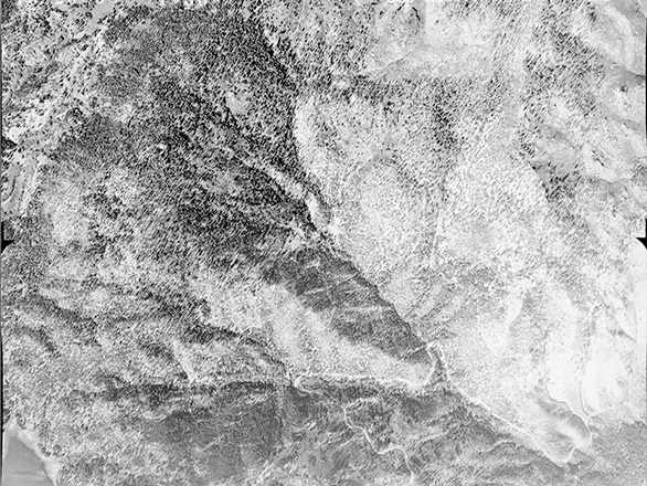 One of a series of aerial photos taken in 1938-39 for a forest and soil survey. Identifier: 14-25.tif collection_63.