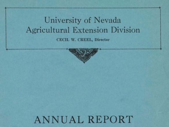 Cover of The Fleeischmann Records Annual Report