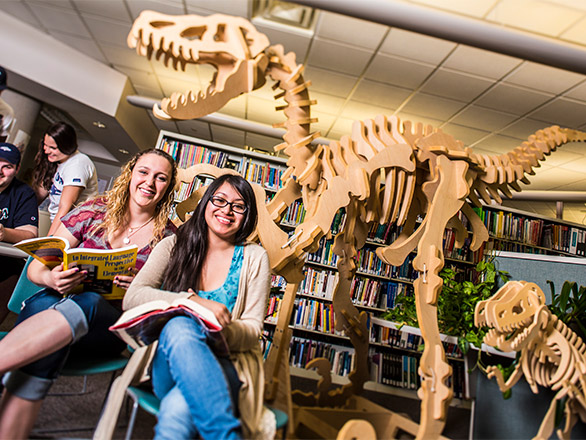 Patrons inside the Learning Resource Center.