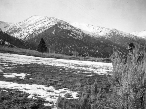 A black and white photograph of snowy mountains and sagebrush with a man hiding in bushes