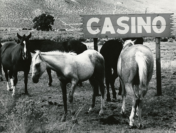 Horses stand by a sign that reads "Casino".