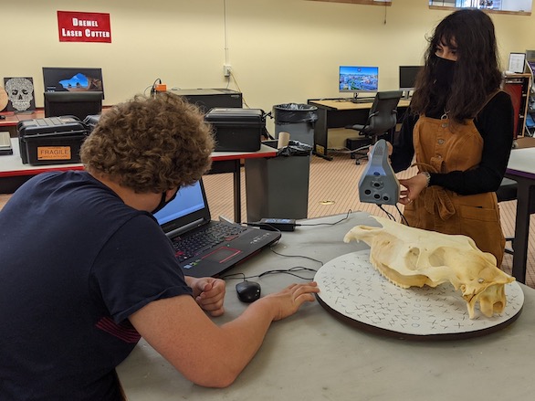 Student scanning a horse skull in the Makerspace.