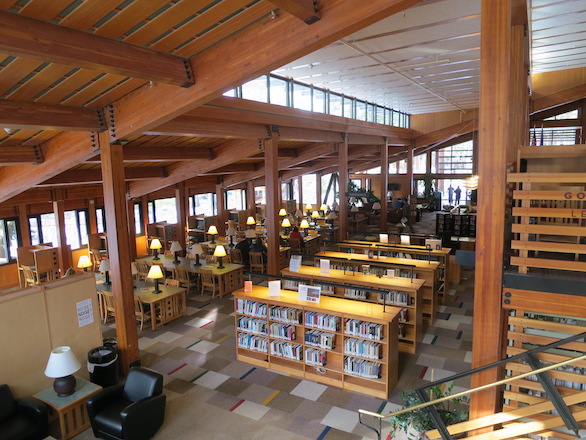 Looking down at the stacks in the Prim Library.