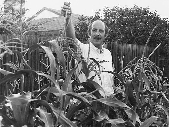 University President Joseph Crowley (president from 1978-2001) inspects a row of corn. ID: UNRA-P753-1
