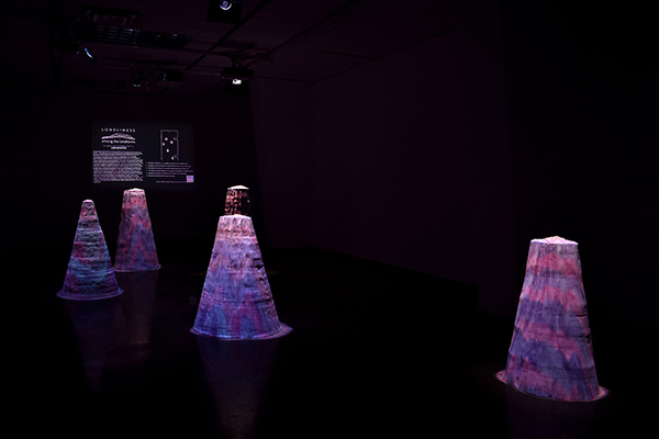 View of the Loneliness among the landforms installation, with purple foam cylindrical forms.