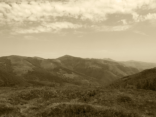 A sepia toned view of a battlefield.