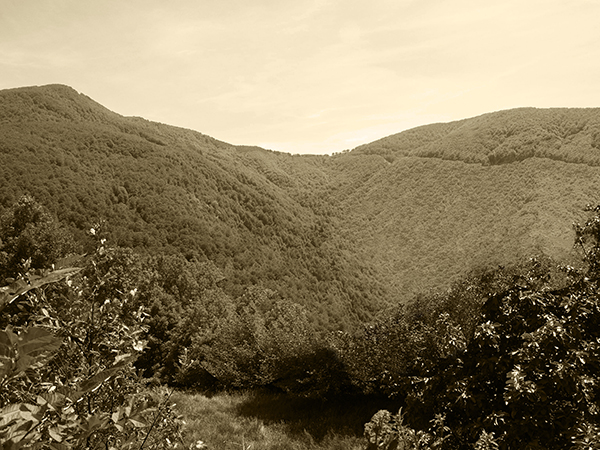 A sepia toned view of a mountain pass.